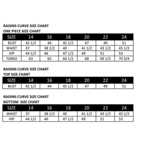 Host Pick Raisins Curve Palm Springs Aries Tankini Swim Top - Picture 3 of 9